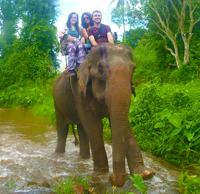 Chiang Mai Elephant Ride 640