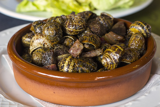 Snails_Spain_640